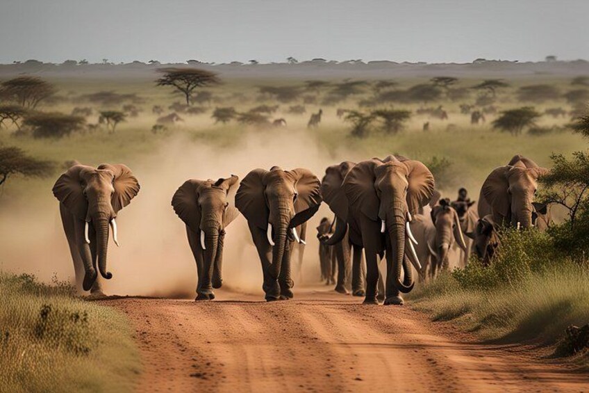 2 Day Tsavo East National Park Safari from Diani Beach 2