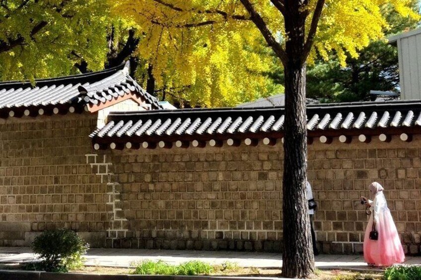 Private Seoul Tour: Gyeongbokgung Palace and Hidden Gems 3