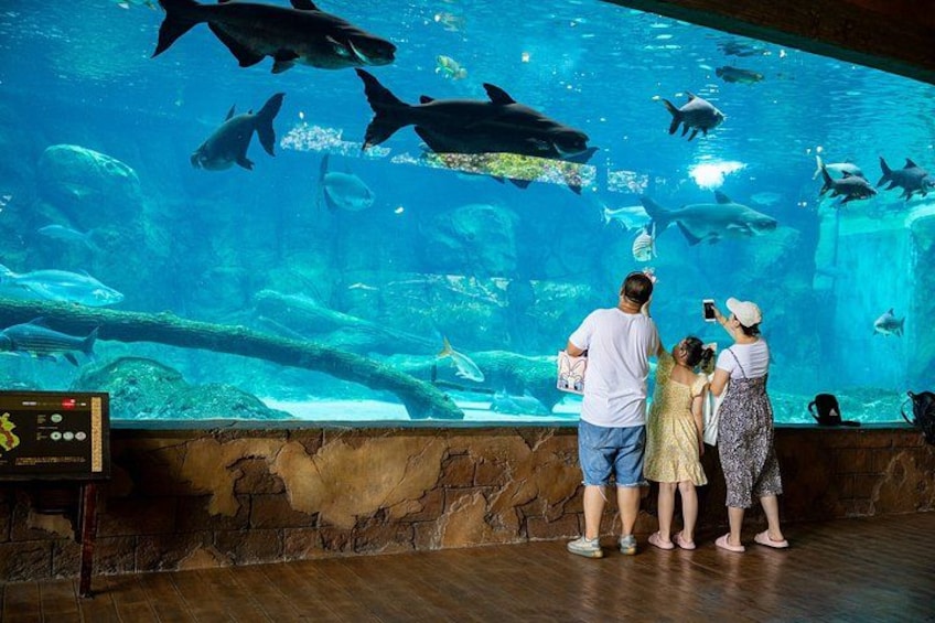 Un aquarium abritant différentes espèces de poissons, un panneau de contrôle et des visiteurs observant les expositions. 2
