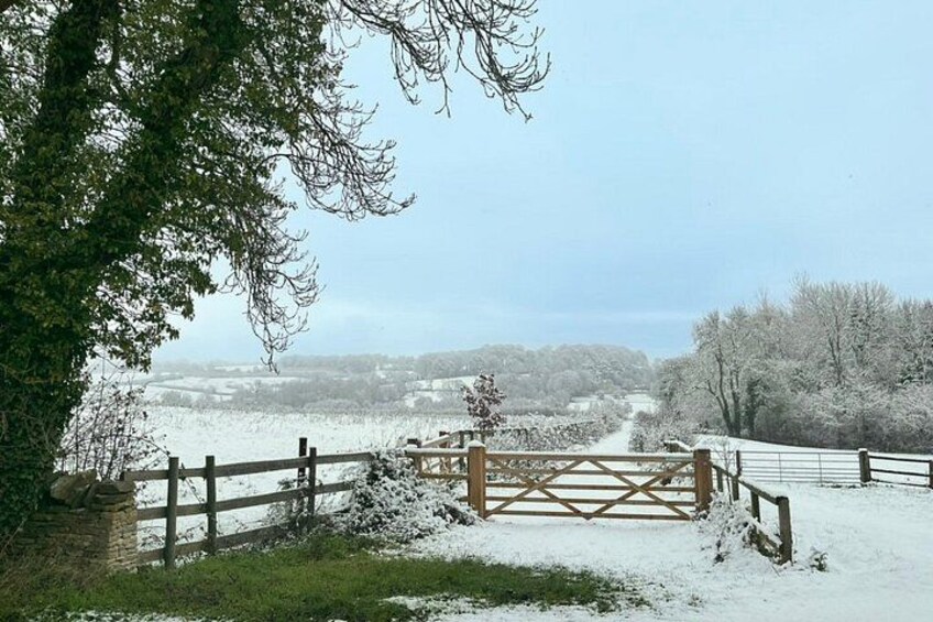 Private Cotswolds Day Tour from London: Customizable Experience 2