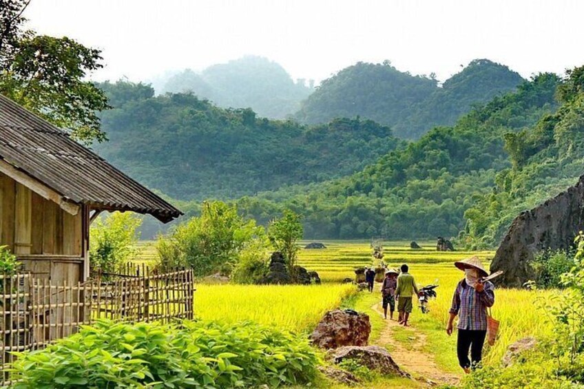 A rural landscape with a wooden house, a dirt path, and people walking in a field. 5