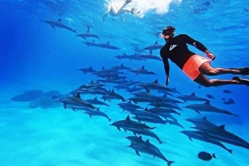 A person snorkeling with a school of fish in clear blue water. 2