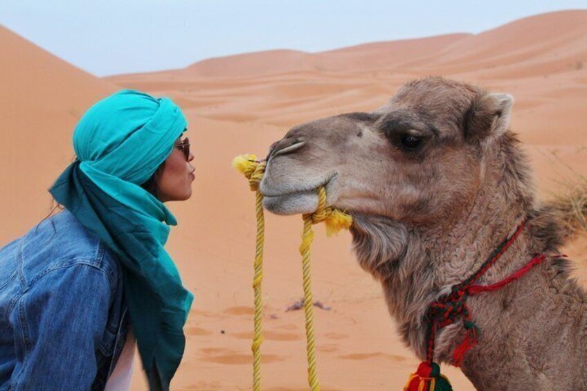 Agafay Desert Camel Ride & Dinner Show from Marrakech 4