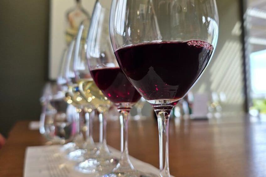 Adelaide Hills Wine, Gin and Brew Small Group Premium Tour 4