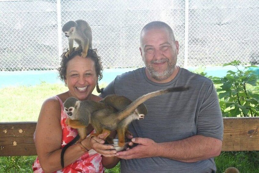 Smile with Amber Cove Monkeys and Tayno Bay Cruise port 3