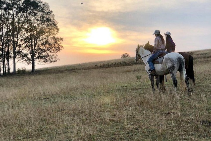 Sunrise Horse Ride in Hunter Valley 1