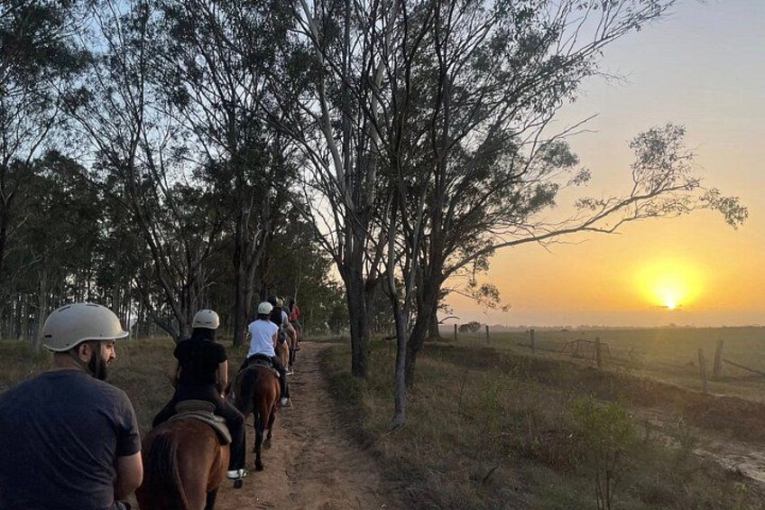 Sunrise Horse Ride in Hunter Valley 3