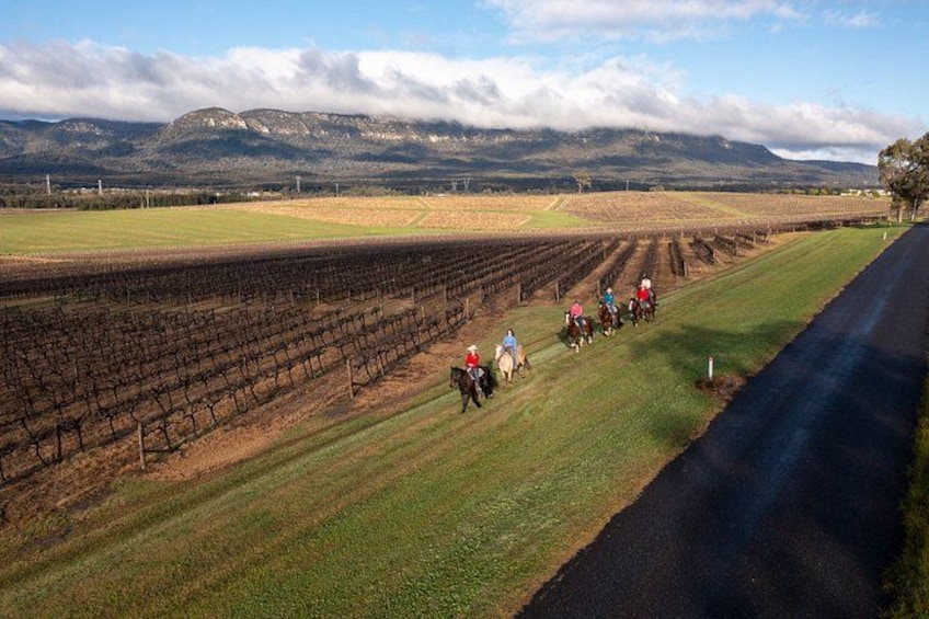 Sunrise Horse Ride in Hunter Valley 5