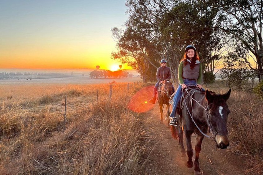 Sunrise Horse Ride in Hunter Valley 4