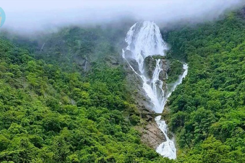A waterfall cascading down a lush green mountain. 1