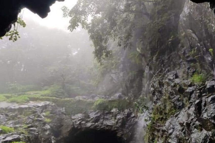 Dudhsagar Waterfalls Tour Jeep Safari and Spice Plantation Visit 3