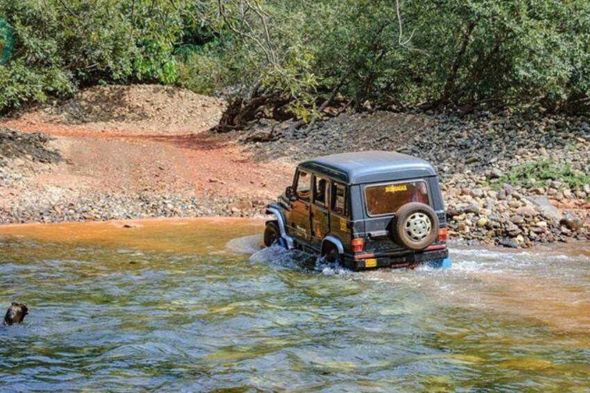 Dudhsagar Waterfalls Tour Jeep Safari and Spice Plantation Visit 2