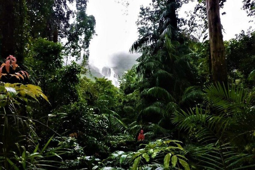 Dudhsagar Waterfalls Tour Jeep Safari and Spice Plantation Visit 2