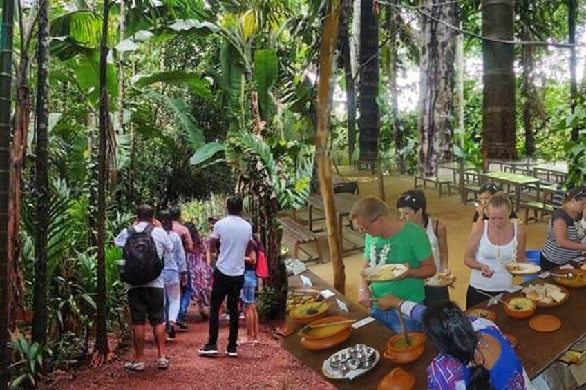 Dudhsagar Waterfalls Tour Jeep Safari and Spice Plantation Visit 3