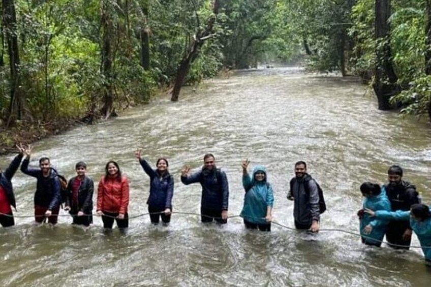 Dudhsagar Waterfalls Tour Jeep Safari and Spice Plantation Visit 4