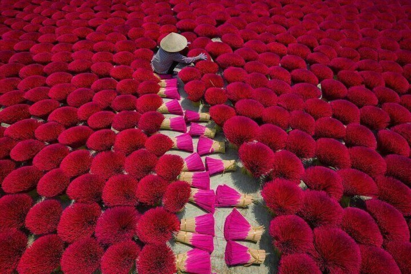 Eine Person kümmert sich um ein Feld roter Blumen, möglicherweise Chrysanthemen, mit verstreuten rosa Blütenblättern. 3