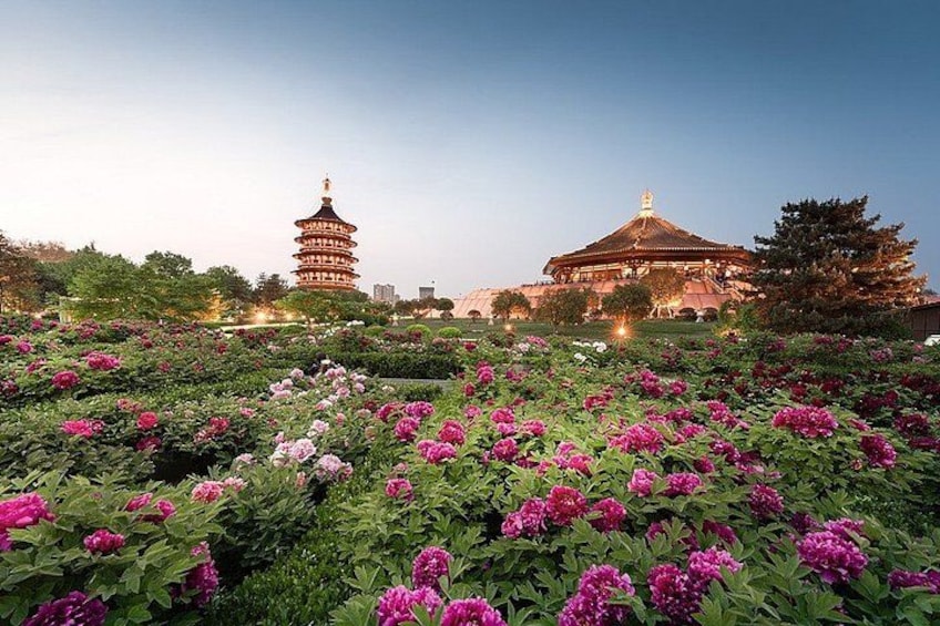 Private Longmen Grottoes Cultural Tour from Luoyang 3