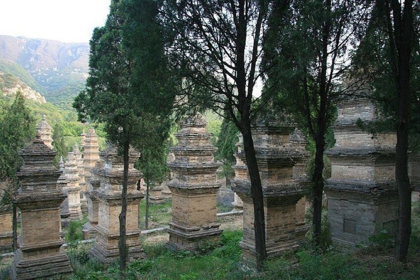 Private Longmen Grottoes Cultural Tour from Luoyang 2
