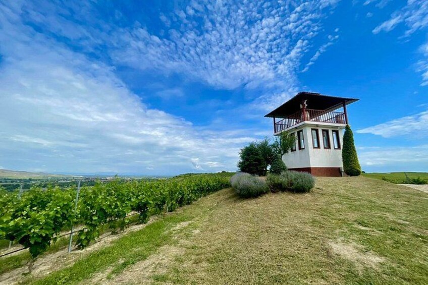 Un vignoble avec des rangées de vignes, un petit bâtiment doté d’un balcon et un ciel d’un bleu limpide. 2