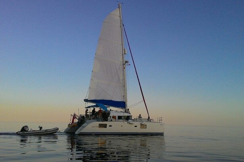 Un velero con casco blanco y detalles azules navegando en aguas tranquilas. 1