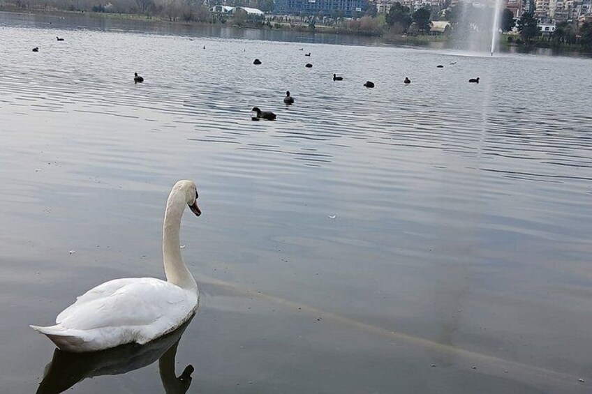 Highlights of Tirana, Promenade Walk with a Local Friend 4