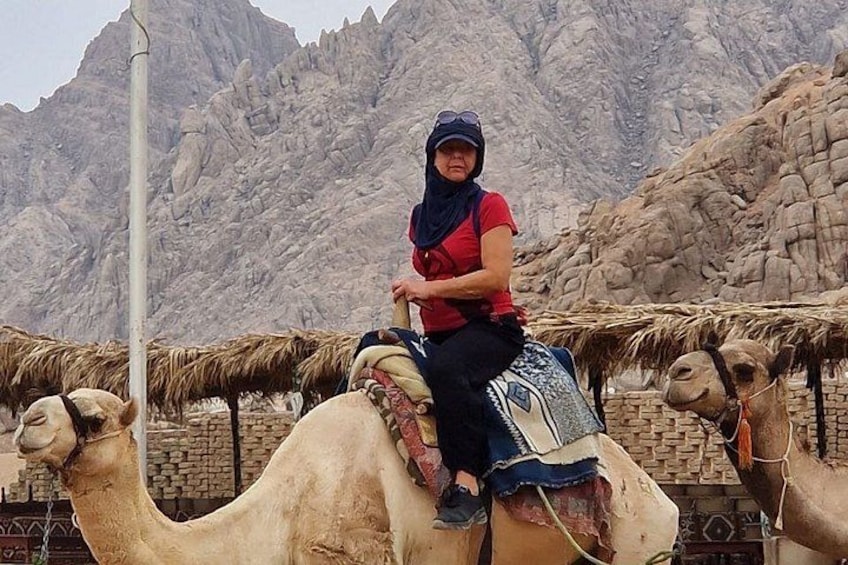 Sharm El Sheikh Quad Tour to Mini Egypt Park with Camel Ride 2
