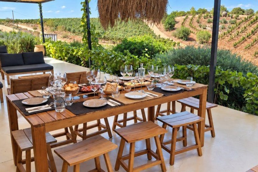 An outdoor dining area with a table set for six, surrounded by wooden chairs, with a vineyard in the background. 4