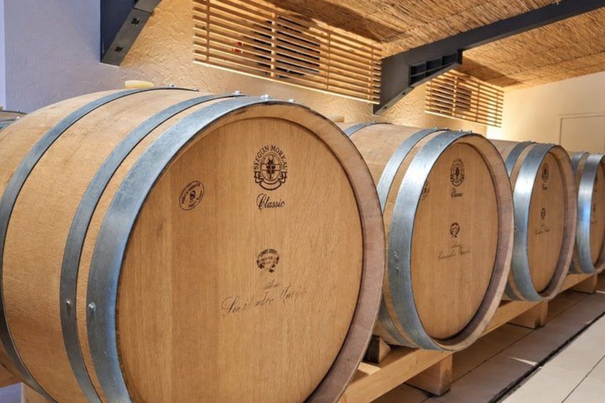 Wooden wine barrels with metal bands, arranged in a row on wooden pallets. 2