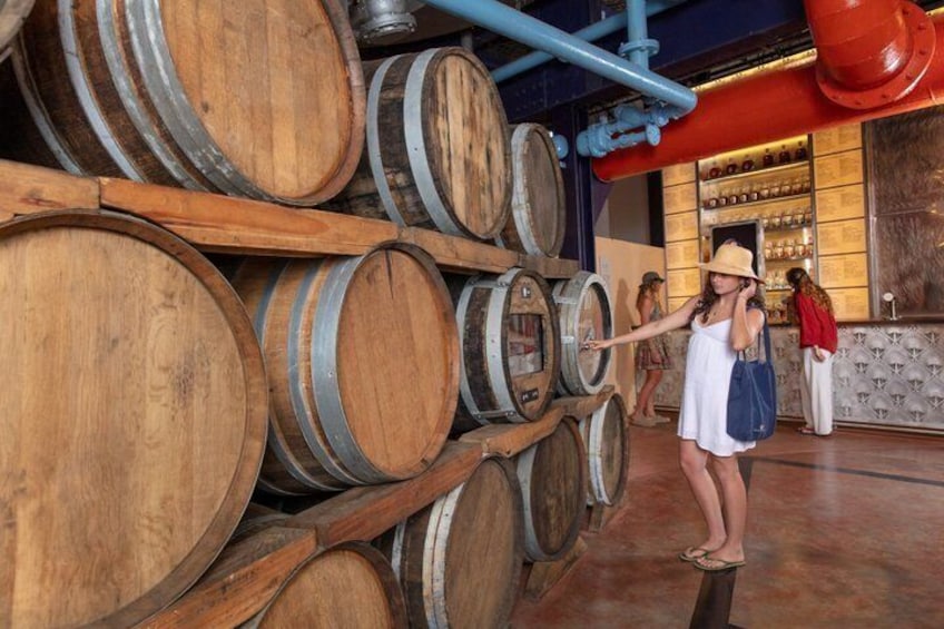 Visit to The Sugar Adventure tasting brown sugars and rums 3