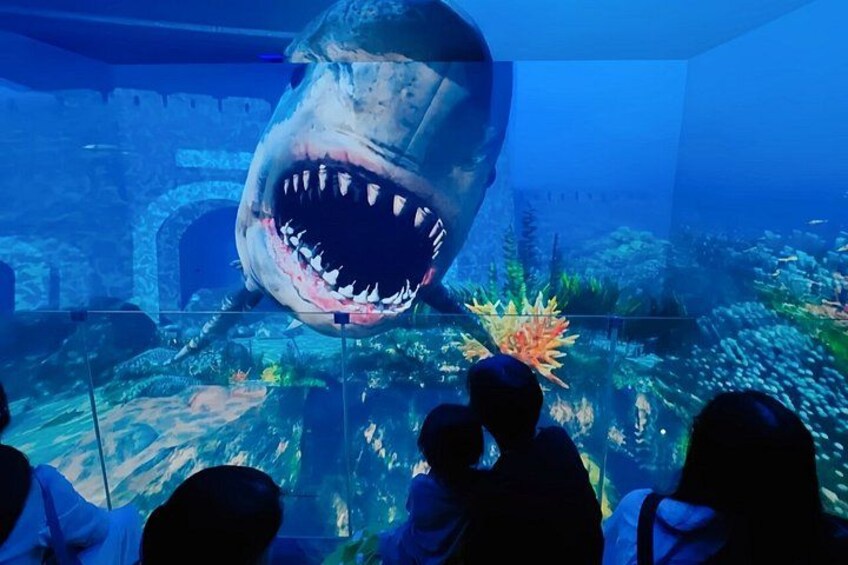 A large shark exhibit with a glass barrier, underwater plants, and a rocky background. 3