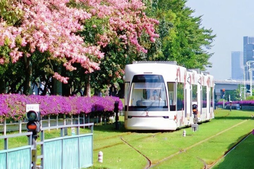 A white tram on tracks with pink flowers and a fence in the background. 1
