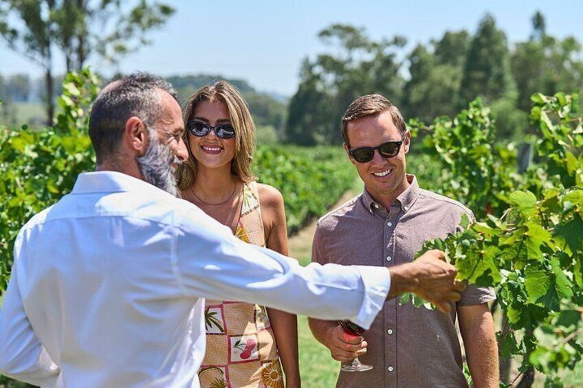 MV6 Pinot Noir Private Wine Tasting 3