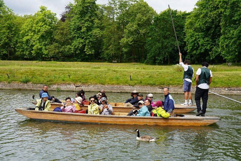 Cambridge Student-Led Shared Punting Tour (English or Chinese) 5