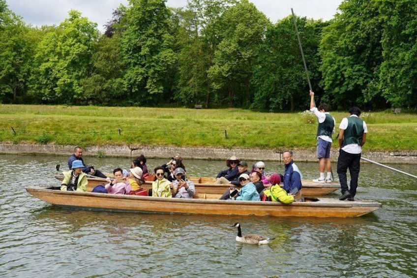 Cambridge Student-Led Shared Punting Tour (English or Chinese) 5