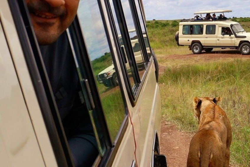 2026 Nairobi Excursion Suite 5