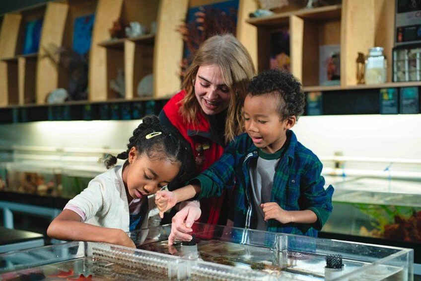 Vancouver Aquarium Admission Ticket 4