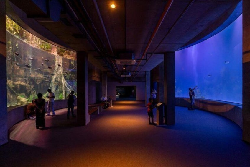 Een aquarium met grote tanks, bezocht door mensen die het zeeleven bekijken. 3