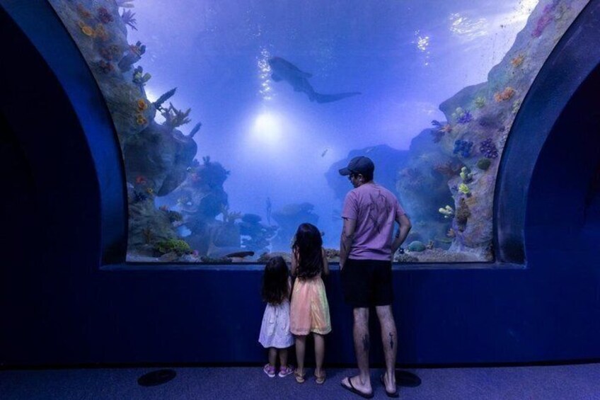 Een aquarium met een groot bassin vol zeeleven en koraalriffen. 1