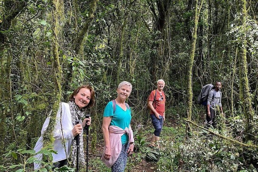 A group of people hiking in a dense forest. 5