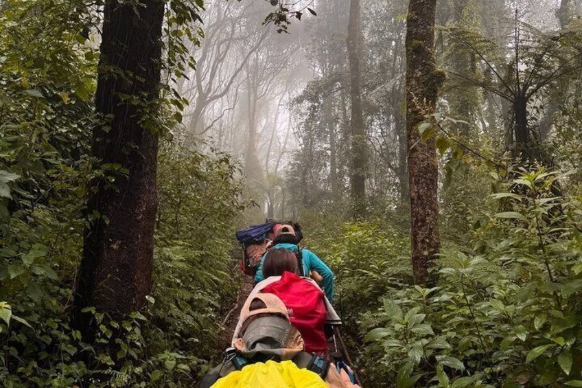 Kilimanjaro day hike tour marangu route 1
