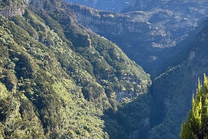 A canyon with steep, rocky cliffs and dense green vegetation. 5