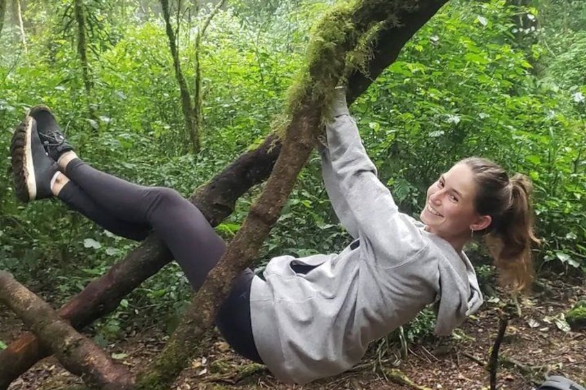 A person climbing a moss-covered tree in a forest. 2