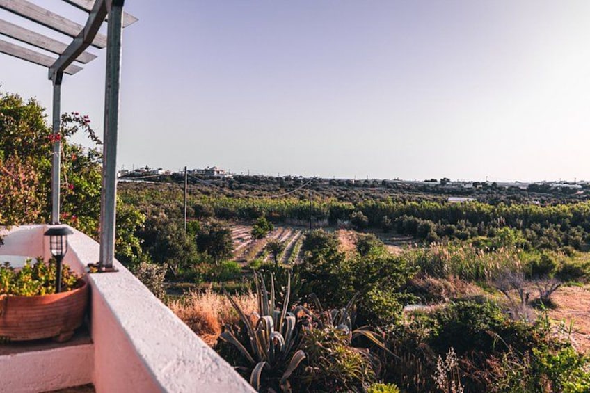 Ein Balkon mit Blick auf einen Weinberg und entfernte Gebäude. 4