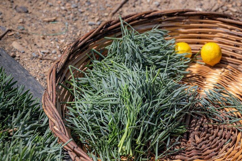 A wicker basket filled with green herbs and two lemons on a dirt ground. 4
