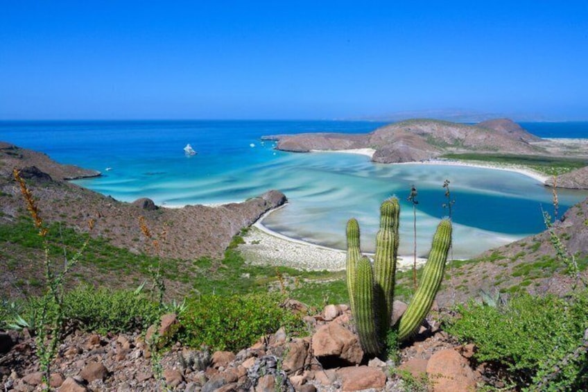 Un paisaje costero con un cactus, terreno rocoso y un mar azul cristalino. 2