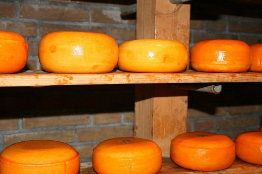 Ein Holzboden mit verschiedenen orangefarbenen Käserädern. 3