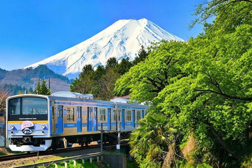 Mount Fuji Instagrammable Spots & Train Experience Day Tour 4