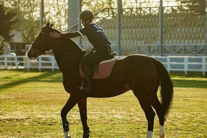 A person riding a horse in an outdoor arena. 2