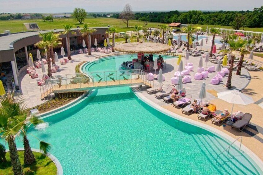 A large swimming pool with lounge chairs and umbrellas, surrounded by palm trees and a landscaped area. 3