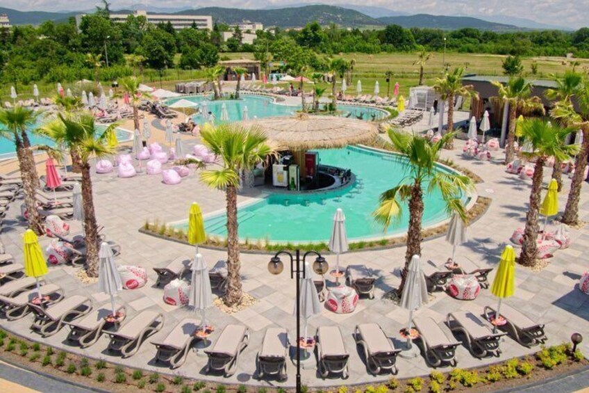 A pool area with lounge chairs, umbrellas, and palm trees. 2
